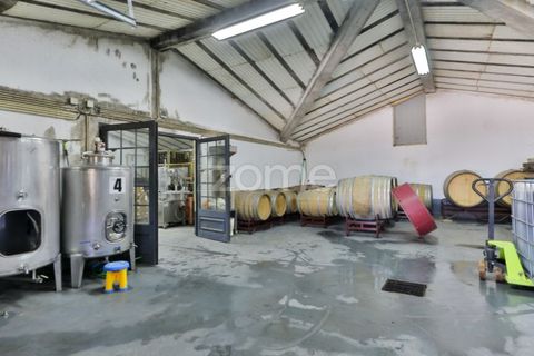 Farm i Tabuaco, Viseu, Tabuaco - € 1.650.000 | Ref: ZMPT567580 - foto 39