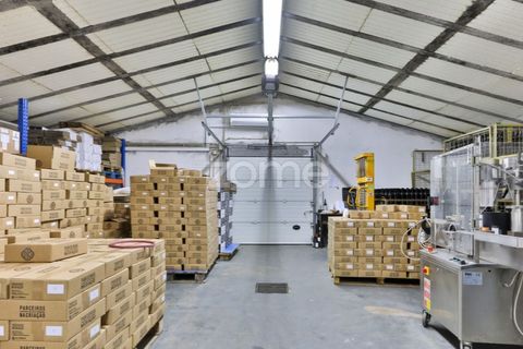 Farm i Tabuaco, Viseu, Tabuaco - € 1.650.000 | Ref: ZMPT567580 - foto 35