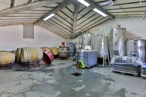 Farm i Tabuaco, Viseu, Tabuaco - € 1.650.000 | Ref: ZMPT567580 - foto 37