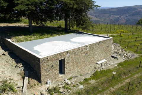 Farm i Tabuaco, Viseu, Tabuaco - € 1.650.000 | Ref: ZMPT567580 - foto 24