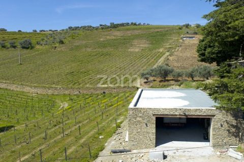 Farm i Tabuaco, Viseu, Tabuaco - € 1.650.000 | Ref: ZMPT567580 - foto 25