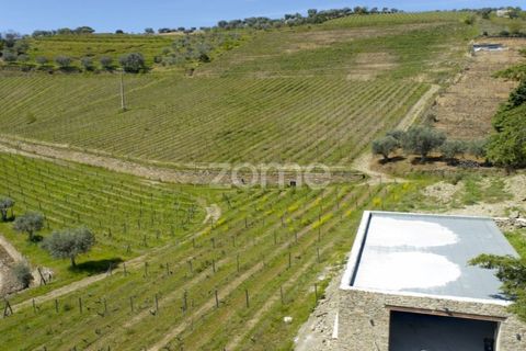 Farm i Tabuaco, Viseu, Tabuaco - € 1.650.000 | Ref: ZMPT567580 - foto 26