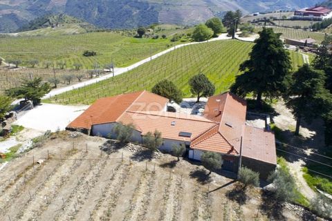 Farm i Tabuaco, Viseu, Tabuaco - € 1.650.000 | Ref: ZMPT567580 - foto 27