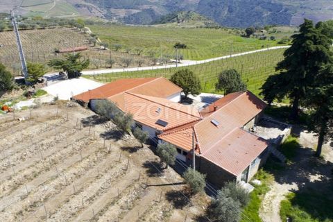 Farm i Tabuaco, Viseu, Tabuaco - € 1.650.000 | Ref: ZMPT567580 - foto 28