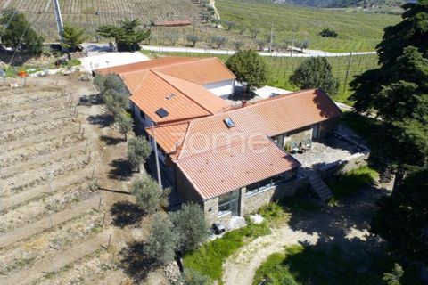 Farm i Tabuaco, Viseu, Tabuaco - € 1.650.000 | Ref: ZMPT567580 - foto 29