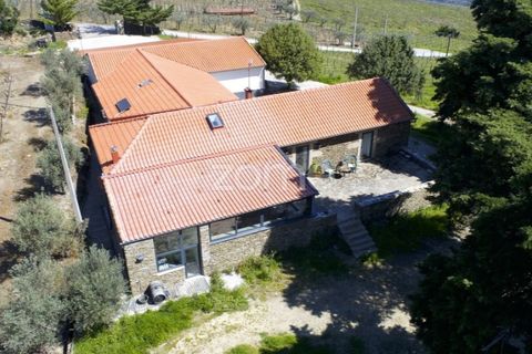 Farm i Tabuaco, Viseu, Tabuaco - € 1.650.000 | Ref: ZMPT567580 - foto 30