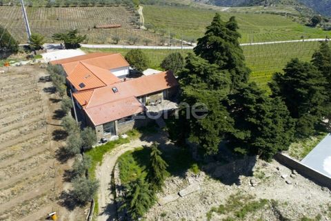 Farm i Tabuaco, Viseu, Tabuaco - € 1.650.000 | Ref: ZMPT567580 - foto 31