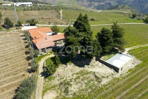 Farm i Tabuaco, Viseu, Tabuaco - € 1.650.000 | Ref: ZMPT567580 - foto 32