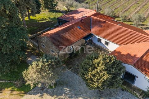 Farm i Tabuaco, Viseu, Tabuaco - € 1.650.000 | Ref: ZMPT567580 - foto 2