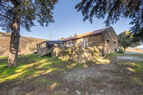 Farm i Tabuaco, Viseu, Tabuaco - € 1.650.000 | Ref: ZMPT567580 - foto 3