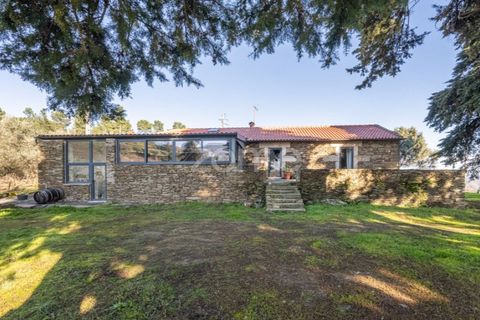 Farm i Tabuaco, Viseu, Tabuaco - € 1.650.000 | Ref: ZMPT567580 - foto 4