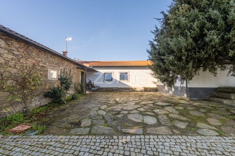 Farm i Tabuaco, Viseu, Tabuaco - € 1.650.000 | Ref: ZMPT567580 - foto 5