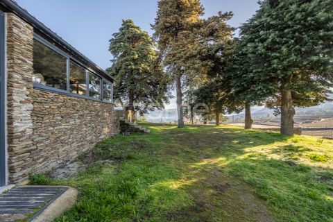 Farm i Tabuaco, Viseu, Tabuaco - € 1.650.000 | Ref: ZMPT567580 - foto 8