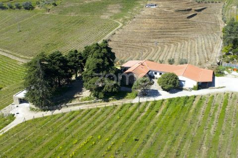Farm i Tabuaco, Viseu, Tabuaco - € 1.650.000 | Ref: ZMPT567580 - foto 40