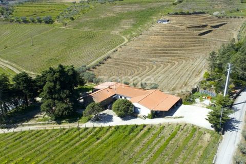 Farm i Tabuaco, Viseu, Tabuaco - € 1.650.000 | Ref: ZMPT567580 - foto 41