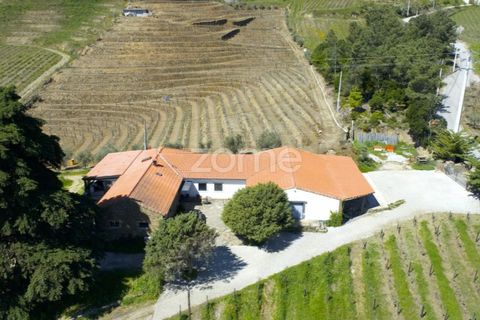 Farm i Tabuaco, Viseu, Tabuaco - € 1.650.000 | Ref: ZMPT567580 - foto 42