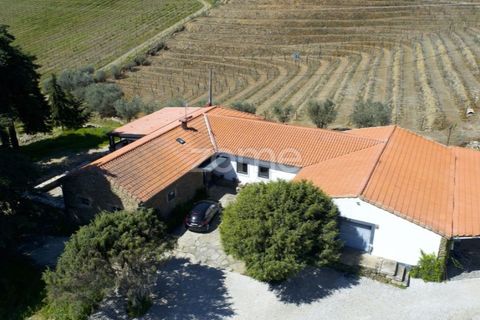 Farm i Tabuaco, Viseu, Tabuaco - € 1.650.000 | Ref: ZMPT567580 - foto 43