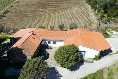 Farm i Tabuaco, Viseu, Tabuaco - € 1.650.000 | Ref: ZMPT567580 - foto 44