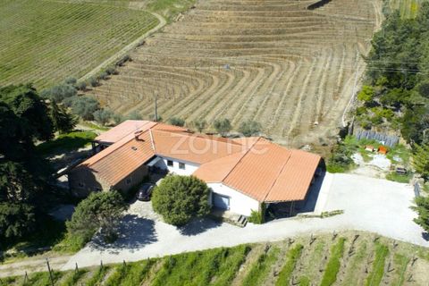 Farm i Tabuaco, Viseu, Tabuaco - € 1.650.000 | Ref: ZMPT567580 - foto 45