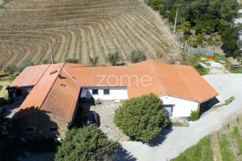 Farm i Tabuaco, Viseu, Tabuaco - € 1.650.000 | Ref: ZMPT567580 - foto 46
