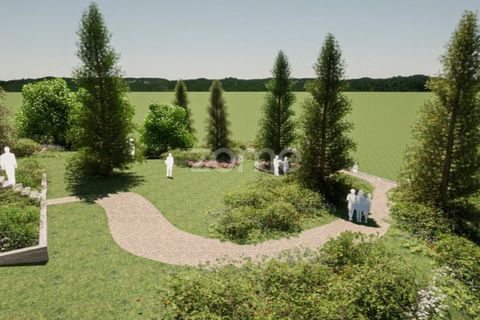Farm i Tabuaco, Viseu, Tabuaco - € 1.650.000 | Ref: ZMPT567580 - foto 48