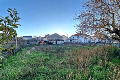 Helårsgrund i Almeida, Guarda, Almeida - € 25.000 | Ref: 046250034 - foto 8