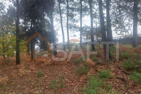 Terra a Ceivaes e Badim, Viana do Castelo, Ceivaes e Badim - € 95.000 | Ref: SAFTI:004246 - foto 2