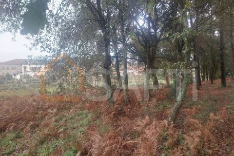 Terra a Ceivaes e Badim, Viana do Castelo, Ceivaes e Badim - € 95.000 | Ref: SAFTI:004246 - foto 3