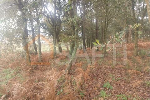 Terra a Ceivaes e Badim, Viana do Castelo, Ceivaes e Badim - € 95.000 | Ref: SAFTI:004246 - foto 4