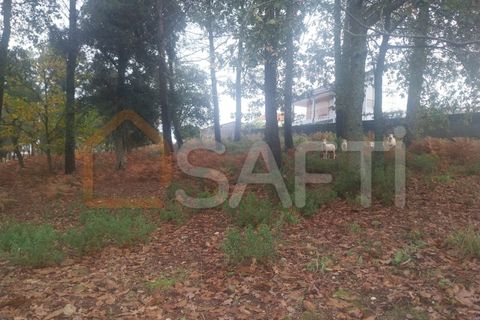 Terra a Ceivaes e Badim, Viana do Castelo, Ceivaes e Badim - € 95.000 | Ref: SAFTI:004246 - foto 6