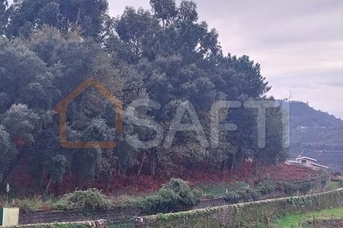 Terra a Ceivaes e Badim, Viana do Castelo, Ceivaes e Badim - € 95.000 | Ref: SAFTI:004246 - foto 7