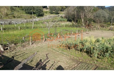 Terra a Ceivaes e Badim, Viana do Castelo, Ceivaes e Badim - € 45.000 | Ref: SAFTI:003192 - foto 2