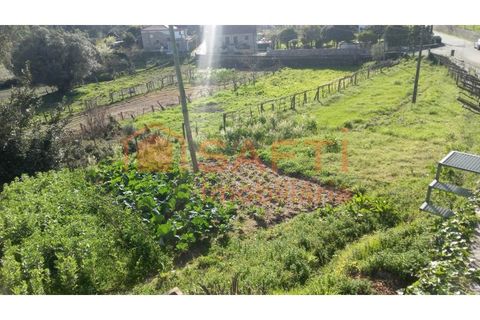 Terra a Ceivaes e Badim, Viana do Castelo, Ceivaes e Badim - € 45.000 | Ref: SAFTI:003192 - foto 3