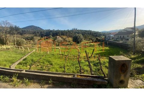 Terra a Ceivaes e Badim, Viana do Castelo, Ceivaes e Badim - € 45.000 | Ref: SAFTI:003192 - foto 4