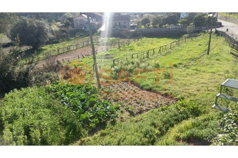 Terra a Ceivaes e Badim, Viana do Castelo, Ceivaes e Badim - € 45.000 | Ref: SAFTI:003192 - foto 5
