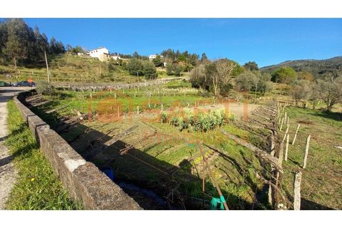 Terra a Ceivaes e Badim, Viana do Castelo, Ceivaes e Badim - € 45.000 | Ref: SAFTI:003192 - foto 7