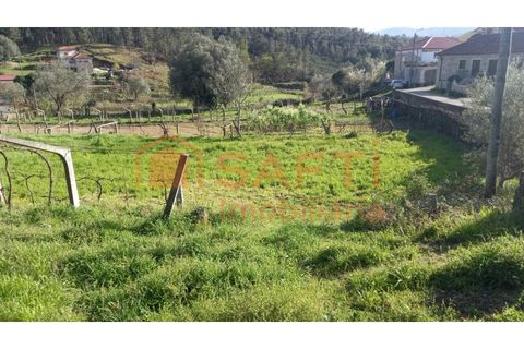 Terra a Ceivaes e Badim, Viana do Castelo, Ceivaes e Badim - € 45.000 | Ref: SAFTI:003192 - foto 8