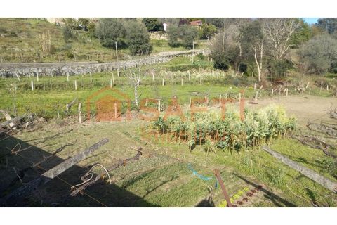 Terra a Ceivaes e Badim, Viana do Castelo, Ceivaes e Badim - € 45.000 | Ref: SAFTI:003192 - foto 9