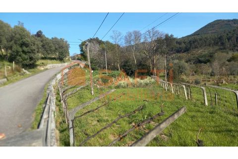 Terra a Ceivaes e Badim, Viana do Castelo, Ceivaes e Badim - € 45.000 | Ref: SAFTI:003192 - foto 10