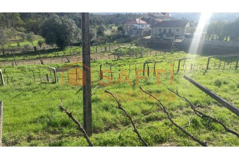 Terra a Ceivaes e Badim, Viana do Castelo, Ceivaes e Badim - € 45.000 | Ref: SAFTI:003192 - foto 11