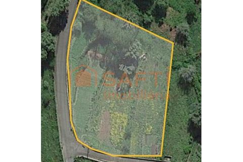 Terra a Ceivaes e Badim, Viana do Castelo, Ceivaes e Badim - € 45.000 | Ref: SAFTI:003192 - foto 14