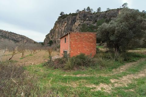 Landejendom i Asco, Tarragona, Asco - € 29.000 | Ref: 943 Kristina - foto 28