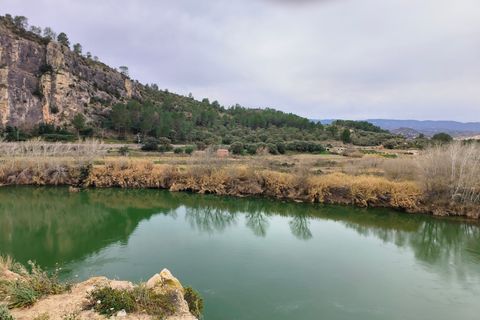 Landejendom i Asco, Tarragona, Asco - € 29.000 | Ref: 943 Kristina - foto 9