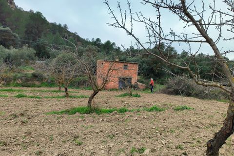 Landejendom i Asco, Tarragona, Asco - € 29.000 | Ref: 943 Kristina - foto 22