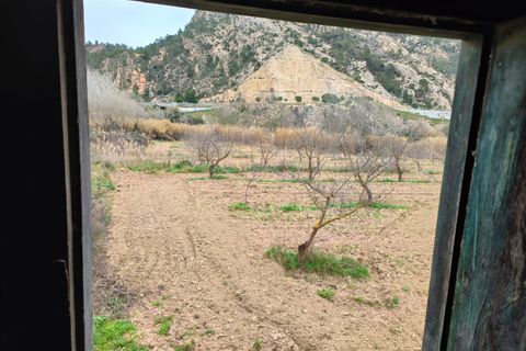 Landejendom i Asco, Tarragona, Asco - € 29.000 | Ref: 943 Kristina - foto 18