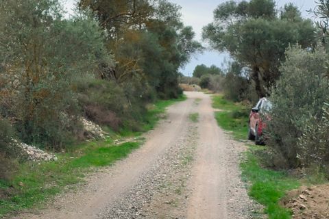 Landejendom i Asco, Tarragona, Asco - € 29.000 | Ref: 943 Kristina - foto 35