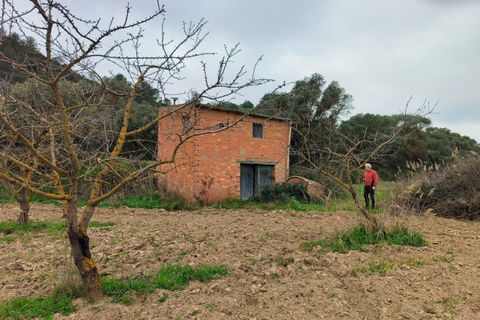 Landejendom i Asco, Tarragona, Asco - € 29.000 | Ref: 943 Kristina - foto 23