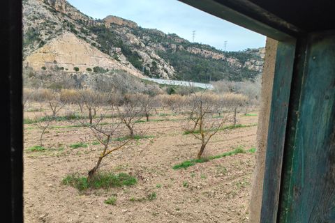 Landejendom i Asco, Tarragona, Asco - € 29.000 | Ref: 943 Kristina - foto 19
