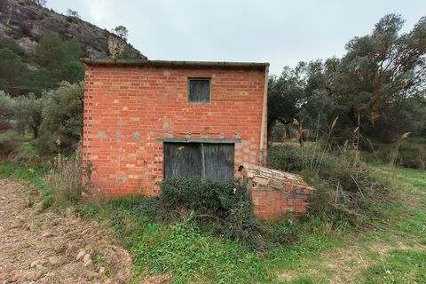 Landejendom i Asco, Tarragona, Asco - € 29.000 | Ref: 943 Kristina - foto 26