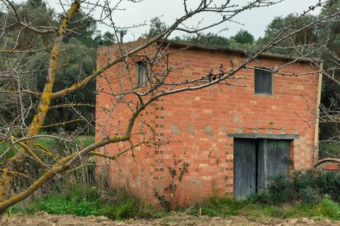 Landejendom i Asco, Tarragona, Asco - € 29.000 | Ref: 943 Kristina - foto 25